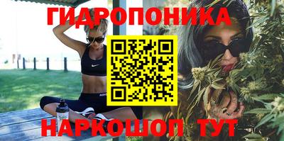 гашик Гусев