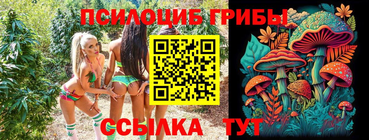 Междуреченск  Галлюциногенные грибы прущие грибы  Вход с VPN 