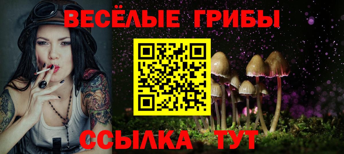 Псилоцибиновые грибы Psilocybine cubensis Междуреченск